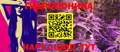 прущие грибы Дубна