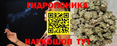 прущие грибы Дубна