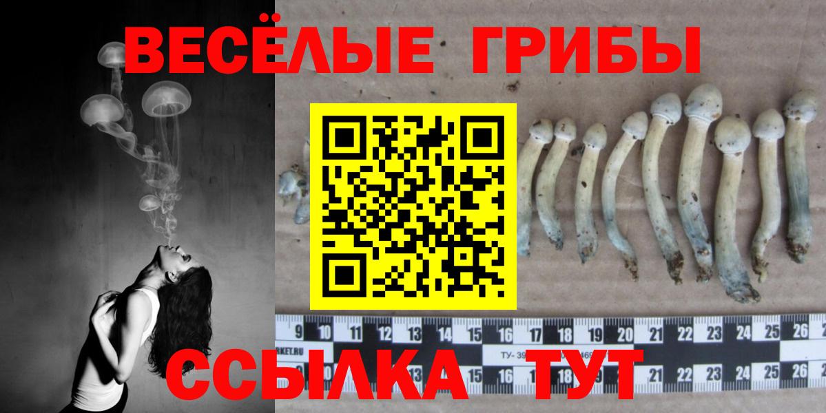 Псилоцибиновые грибы GOLDEN TEACHER Ревда