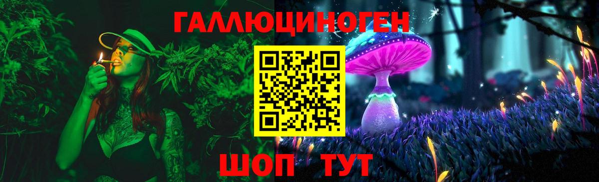 Ревда  Псилоцибиновые грибы Cubensis  цена   Вход с VPN 